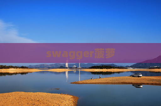 swagger菠萝 swagger菠萝