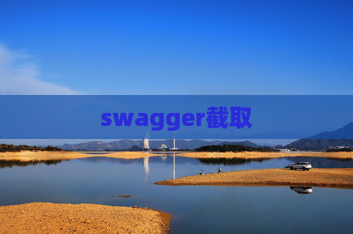 swagger截取